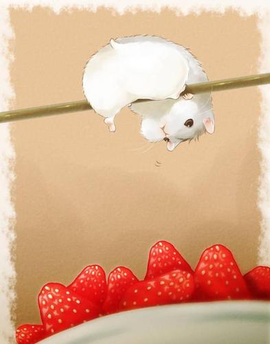 高清无水印壁纸 都是超可爱的卡通版小仓鼠 快快收去做壁纸吧