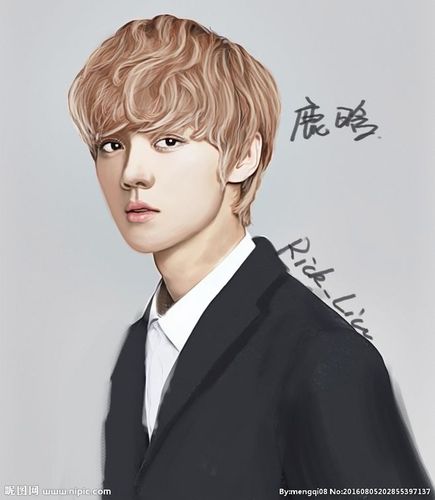 手绘明星鹿晗