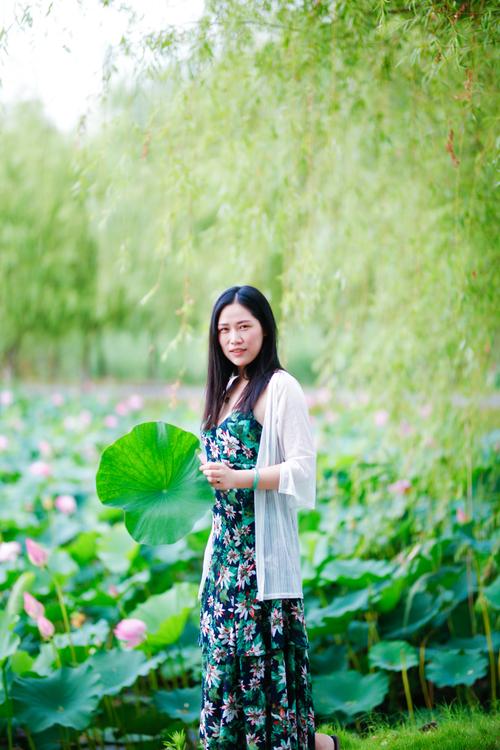 标题:荷花池边