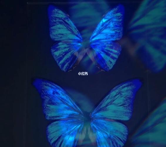 化蝶症_化蝶症_医疗健康_医疗健康其他