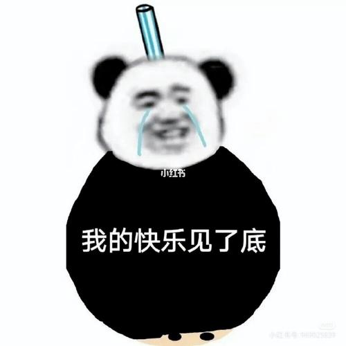 沙雕小熊猫表情包(一)_沙雕_小熊猫_表情包_素材_表情