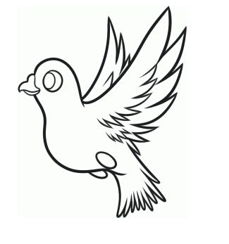 鸽子怎么画?