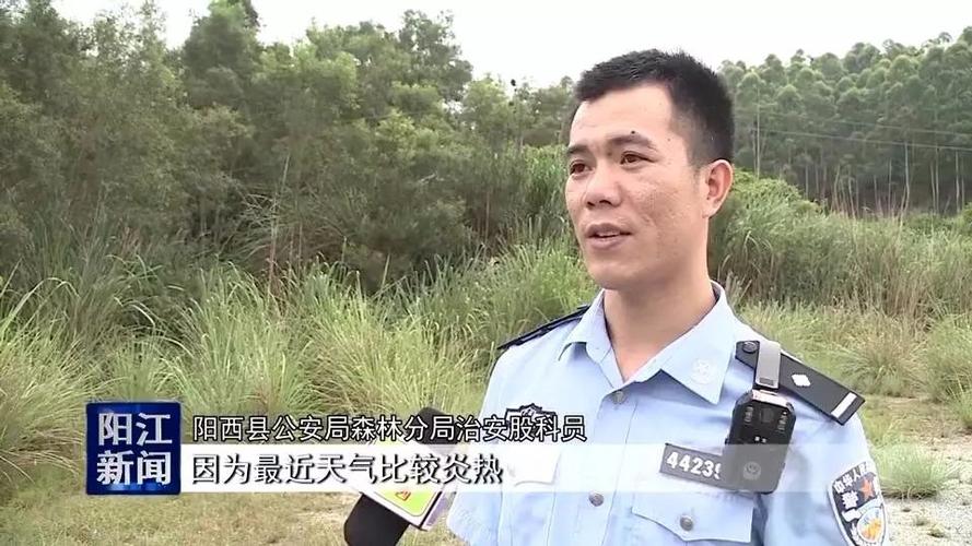 阳西县公安局森林分局治安股科员