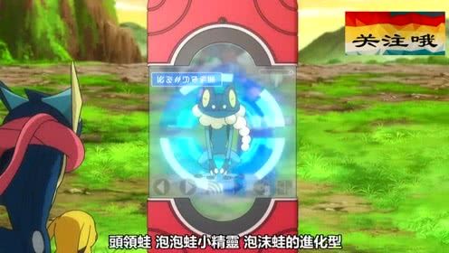 宝可梦:蛙鼠是真爱啊,为保护皮卡丘不受伤害,呱呱泡蛙进化了!
