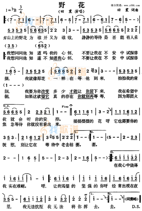 野花_野花简谱_野花吉他谱_钢琴谱-查字典简谱网