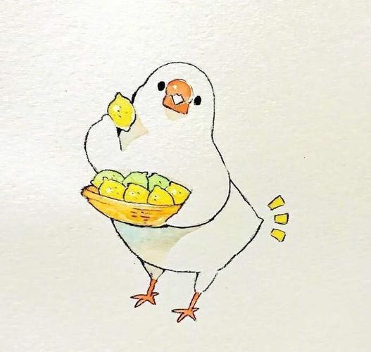 可爱的鸽子卡通画像(图源网络)  #北海道的鸽子