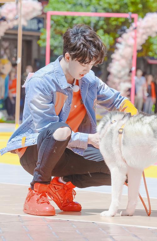 任嘉伦# #任嘉伦411生日快乐