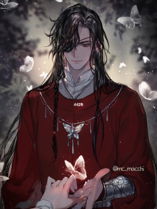 红衣银蝶～真的是美到我了!_天官赐福_影视_动漫