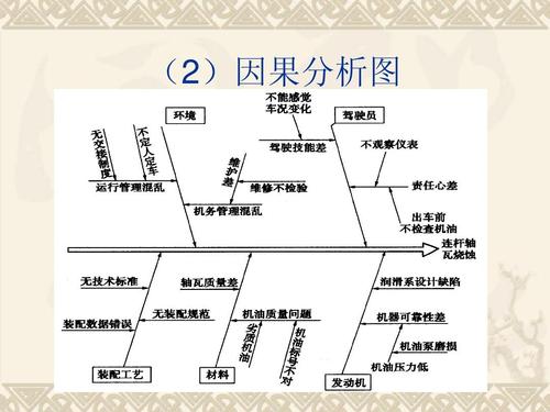 (2)因果分析图