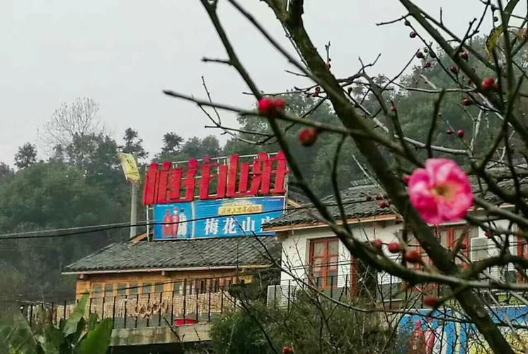 《梅花山庄》欢迎各位朋友赏梅品农家乐