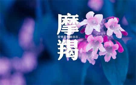 每个人都会给你一个不同的答案我心中的完美男人是性格:内外兼备,能动