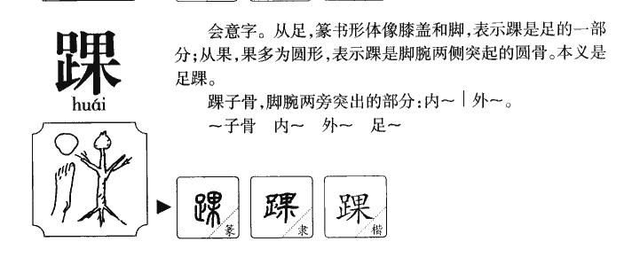 踝拼音|踝怎么读|踝部首|踝意思-作文选字典网