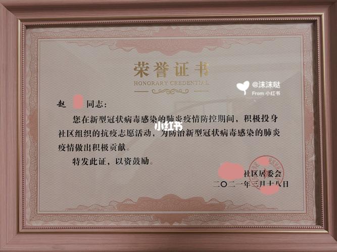 志愿者证书_志愿者_疫情_礼物_疫情志愿者_教育_教育