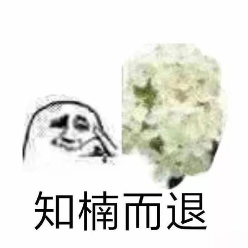 别呼吸!这是一条有邪恶气味的推文