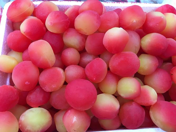 没见过这么可爱的水果一一金西梅