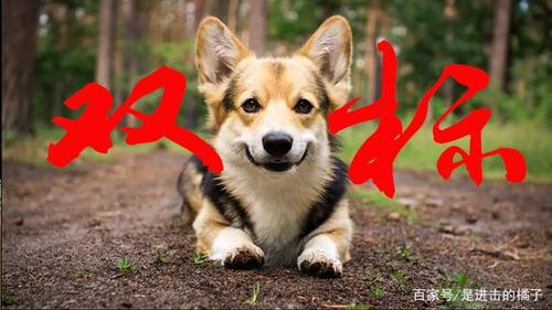 网友珂珂最近发帖吐槽男朋友,说她男朋友在感情里就是个"双标狗",她再