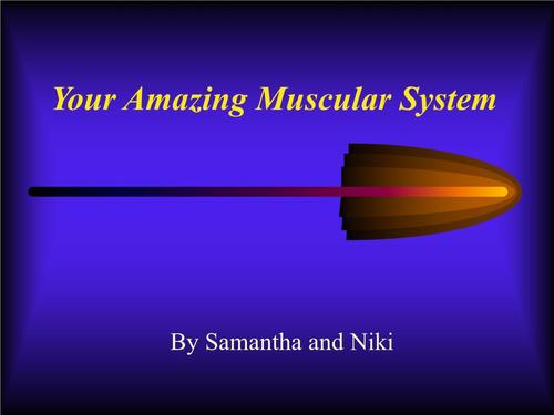 powerpoint presentation your amazing muscular powerpoi