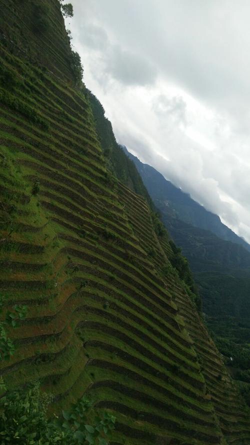 蜈蚣岭村