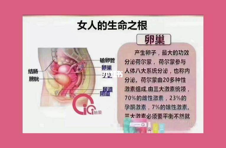 卵巢92女人的生命之根73_保养_医疗健康_医疗健康