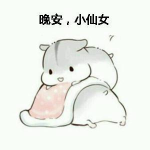 哄小仙女表情包小仙女我喜欢你喂小仙女在吗晚安小仙女