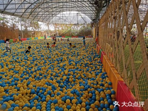 流溪湾丰华园图片