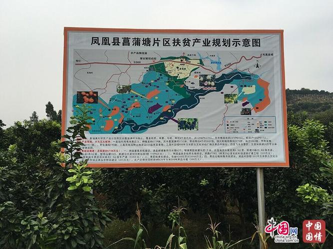 凤凰县菖蒲塘片区扶贫产业规划示意图