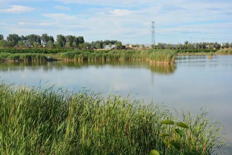 长子营湿地公园