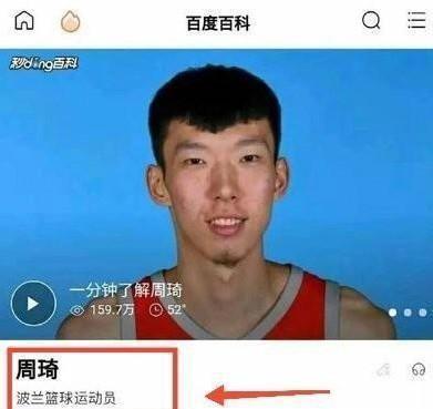 波兰球王周琦什么梗