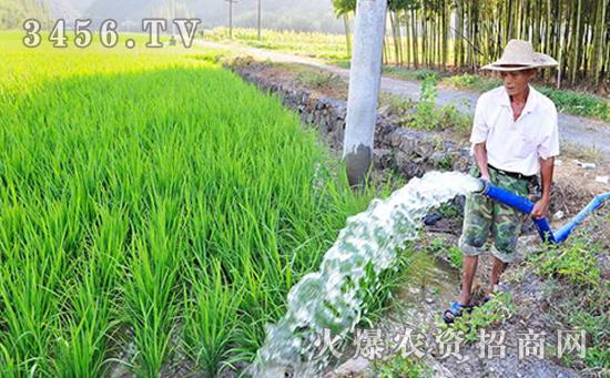 水稻灌溉有很大学问,什么时候该浇水,什么时候浇,浇多少都是需要我们