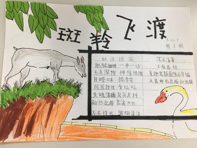 共读一本书—《斑羚飞渡》