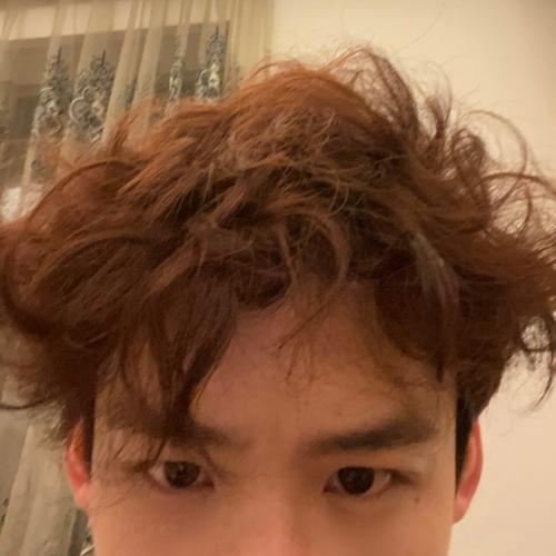 白敬亭晒自来卷自拍头发乱糟糟:真的是每一根都有自己