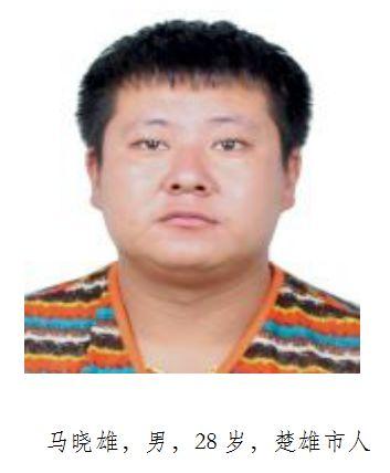 楚雄警方公开以速进林为首的涉恶犯罪团伙成员被依法逮捕的通告