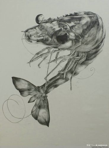 [转] 央美城院2012届基础部精微素描