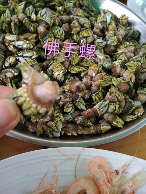 "佛手螺"是第一次见,所以在食的时候也要请教"食神"怎样才能把肉肉搞