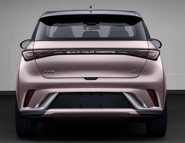 储物空间看着不少 比亚迪海豚内饰疑似曝光