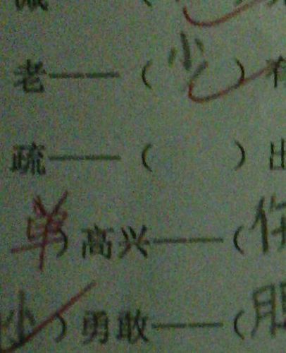 疏的反义词是.