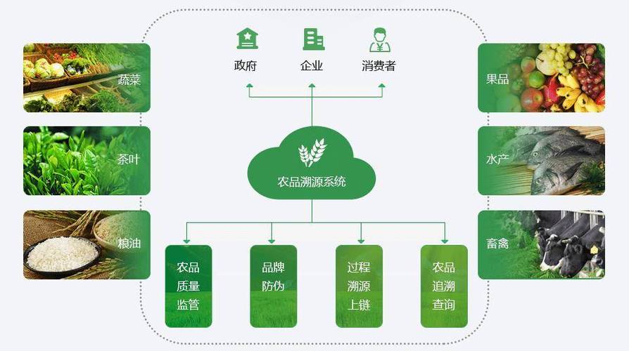 农产品一物一码溯源系统功能有什么?