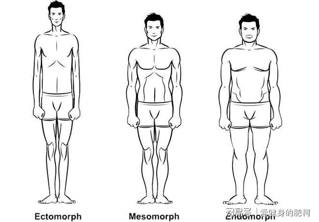 梨形身材太难看,易胖体质真的无法改变吗?拿什么拯救易胖体质?