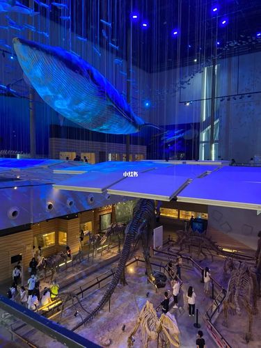 广东省博物馆海洋博物馆打卡_广东省博物馆_休闲玩乐