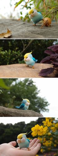 q版小鹦鹉 ,长了张惹事的屁股脸(`)