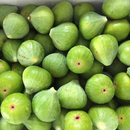 鲜无花果新鲜包邮_【昆嵛街】威海青皮无花果新鲜无花果鲜果3斤36个果