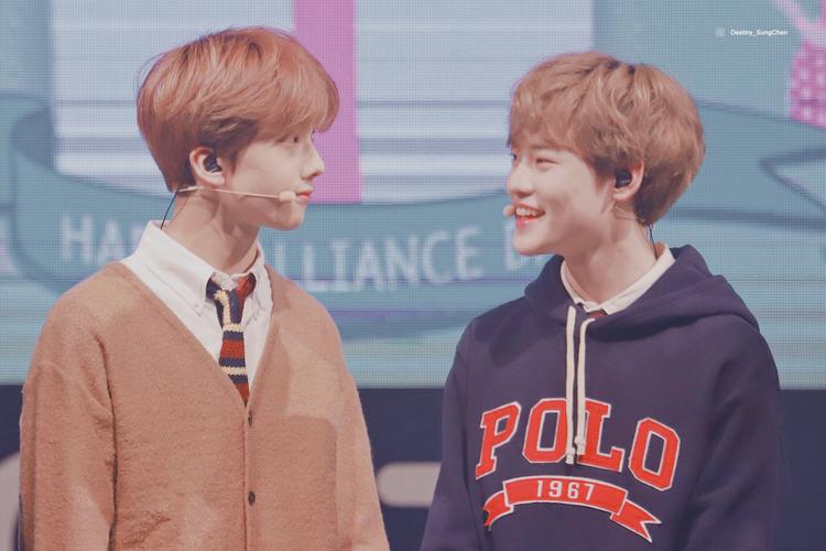 星辰 钟辰乐 朴志晟