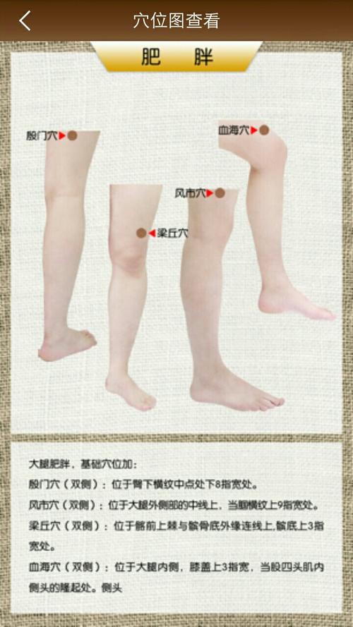 瘦针灸瘦腿一次贴几贴