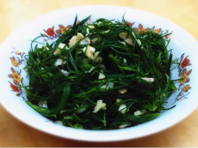 关于风滚草,不要以讹传讹