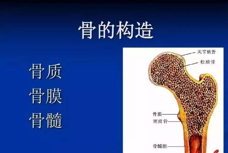 古战绵拳--易筋易骨(古战绵拳内功揭秘)