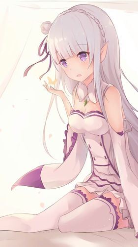 一波老婆的图片顺序艾米莉亚雷姆玛修贞德吾王