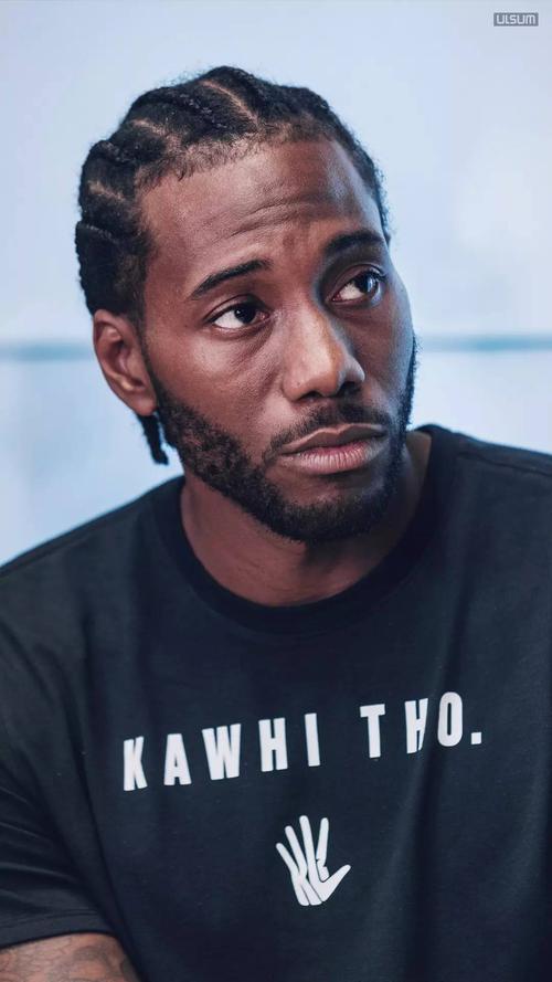 莱昂纳德对你有一点动心ulsum