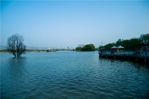 标题:灞桥生态湿地公园