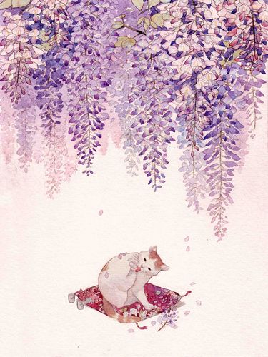 插画 壁纸紫藤与猫