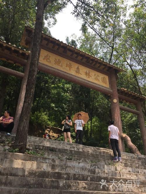 龙池坪森林公园门口图片 - 第3张